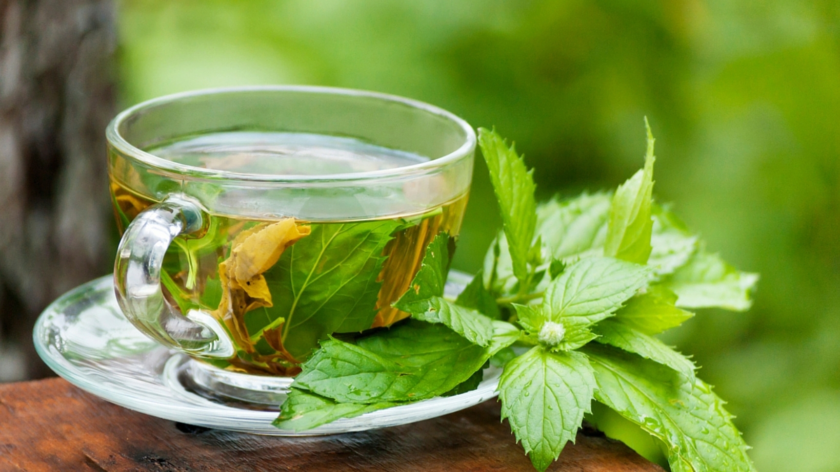 خواص چایی سبز برای سلامتی